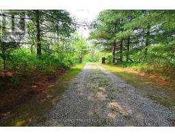 253 ELGINFIELD ROAD - 28