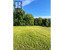 43399 SPARTA LINE - 36