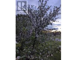 43399 SPARTA LINE - 37