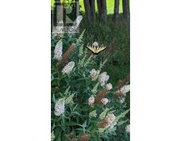 43399 SPARTA LINE - 38