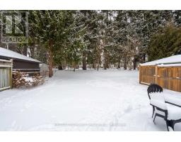 177 TROWBRIDGE AVENUE - 6