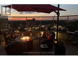 1206 - 250 PALL MALL STREET - 41