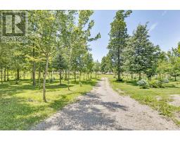 32420 SILVER CLAY LINE - 38