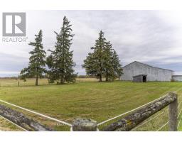 413 ELLIS AVENUE - 16