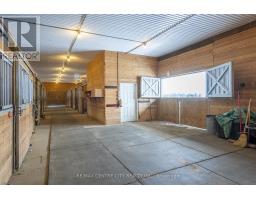 413 ELLIS AVENUE - 19