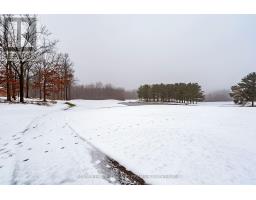 1303 SANDY SOMERVILLE DRIVE - 29