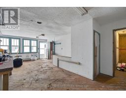 394 BEATTIE STREET - 37