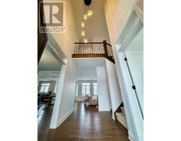 558 ECLIPSE WALK - 3