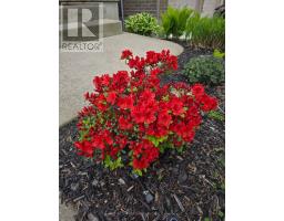 38 - 777 APRICOT DRIVE - 4