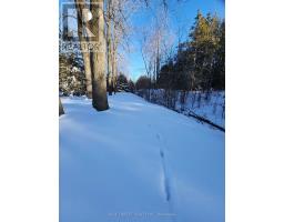 36259 GORE ROAD - 15