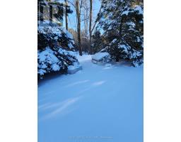 36259 GORE ROAD - 21