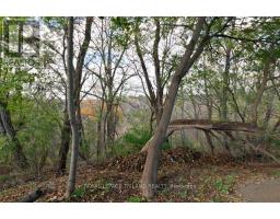 40 ST GEORGE STREET - 34