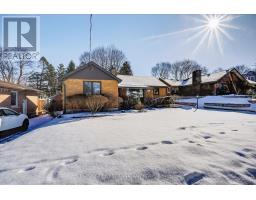 294 STEPHEN STREET - 42