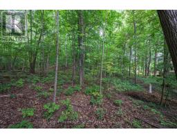 22 MAPLETON PLACE - 49