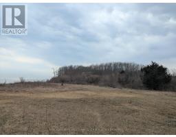 BETWEEN 25097 & 24745 GRAY LINE - 11