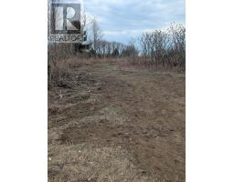 BETWEEN 25097 & 24745 GRAY LINE - 13