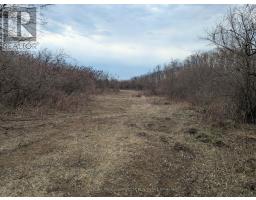 BETWEEN 25097 & 24745 GRAY LINE - 14