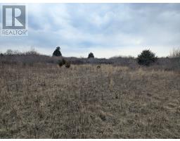 BETWEEN 25097 & 24745 GRAY LINE - 16