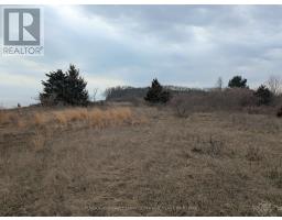 BETWEEN 25097 & 24745 GRAY LINE - 7