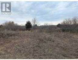 BETWEEN 25097 & 24745 GRAY LINE - 9