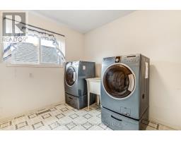 29 - 335 LIGHTHOUSE ROAD - 8