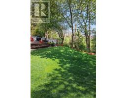 6 MONTGOMERY ROAD - 42