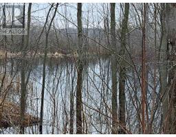 39132 MOUNT CARMEL DRIVE - 33