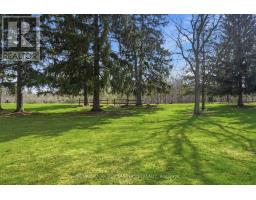 11247 MAPLE ROAD - 17