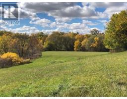 11247 MAPLE ROAD - 44