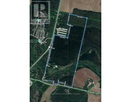 11247 MAPLE ROAD - 50