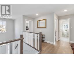 26 AMBROSIA PATH - 25