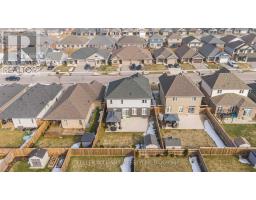 26 AMBROSIA PATH - 46