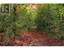 13157 MEDWAY ROAD - 18