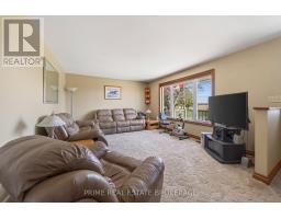 22403 SPRINGFIELD STREET - 17