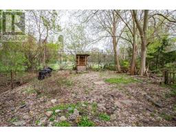 49 WILSON AVENUE - 5