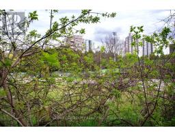 49 WILSON AVENUE - 6