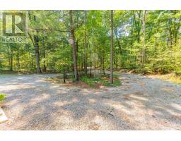 10342 BEACH O PINES ROAD - 38