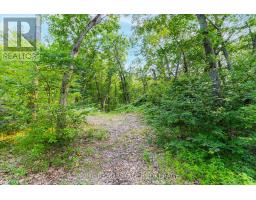 10142 PINERY BLUFFS ROAD - 12