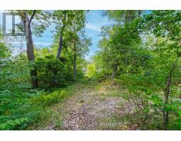 10142 PINERY BLUFFS ROAD - 15