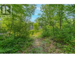 10142 PINERY BLUFFS ROAD - 16