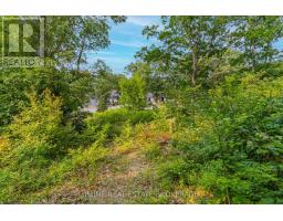 10142 PINERY BLUFFS ROAD - 17