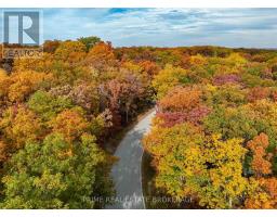 10142 PINERY BLUFFS ROAD - 28