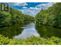 10142 PINERY BLUFFS ROAD - 34