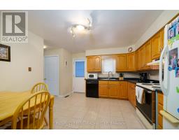 54 NELSON STREET - 8