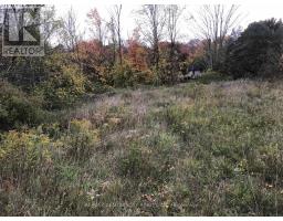 LOT 1 - 36 NORTH STREET - 1