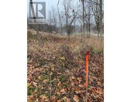 LOT 1 - 36 NORTH STREET - 4