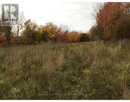 LOT 1 - 36 NORTH STREET - 6