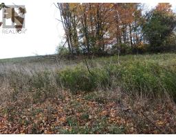 LOT 1 - 36 NORTH STREET - 8