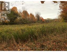 LOT 1 - 36 NORTH STREET - 9