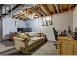 56729 EDEN LINE - 25